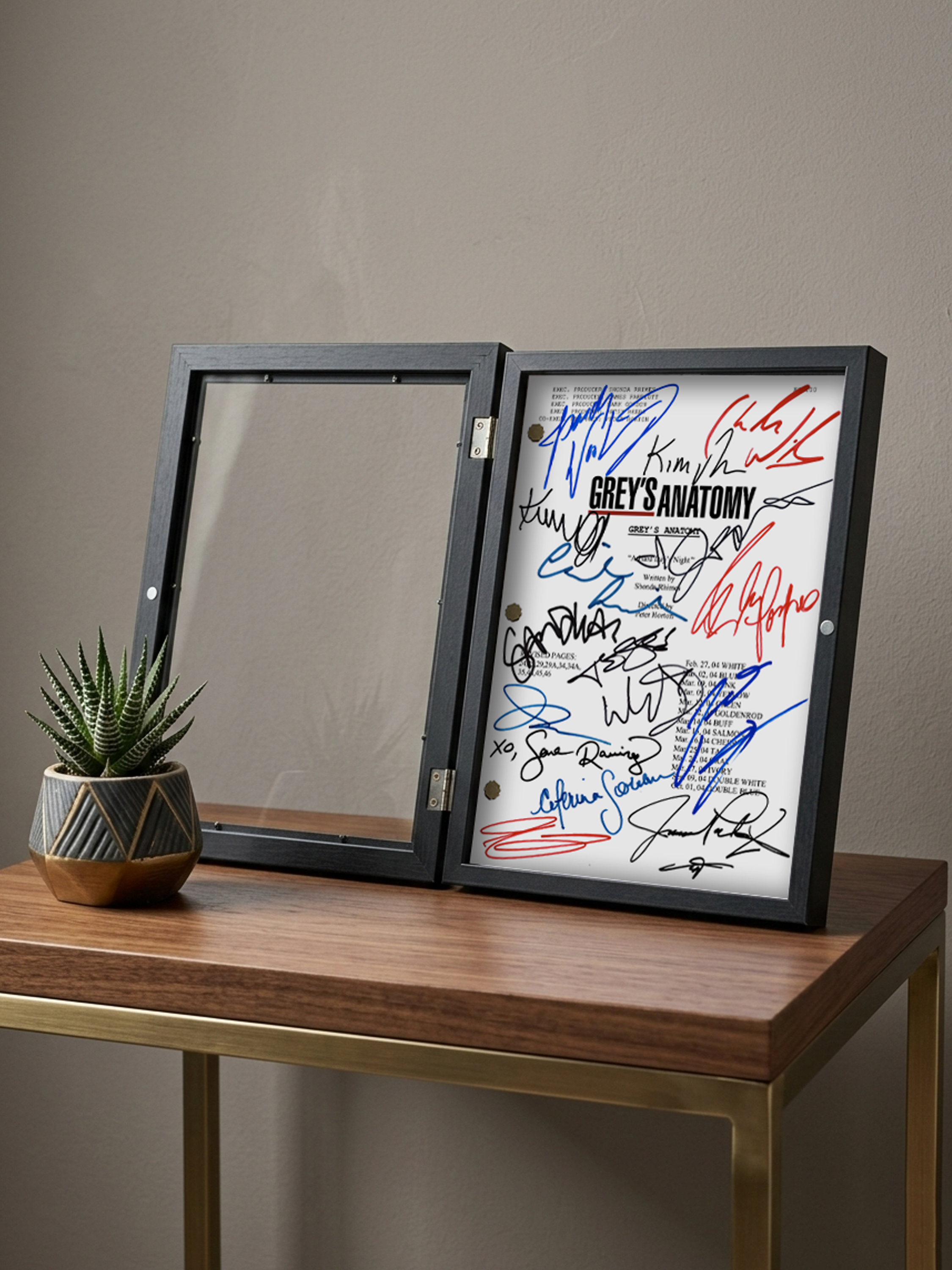 Greys Anatomy Signed Pilot TV Show Script