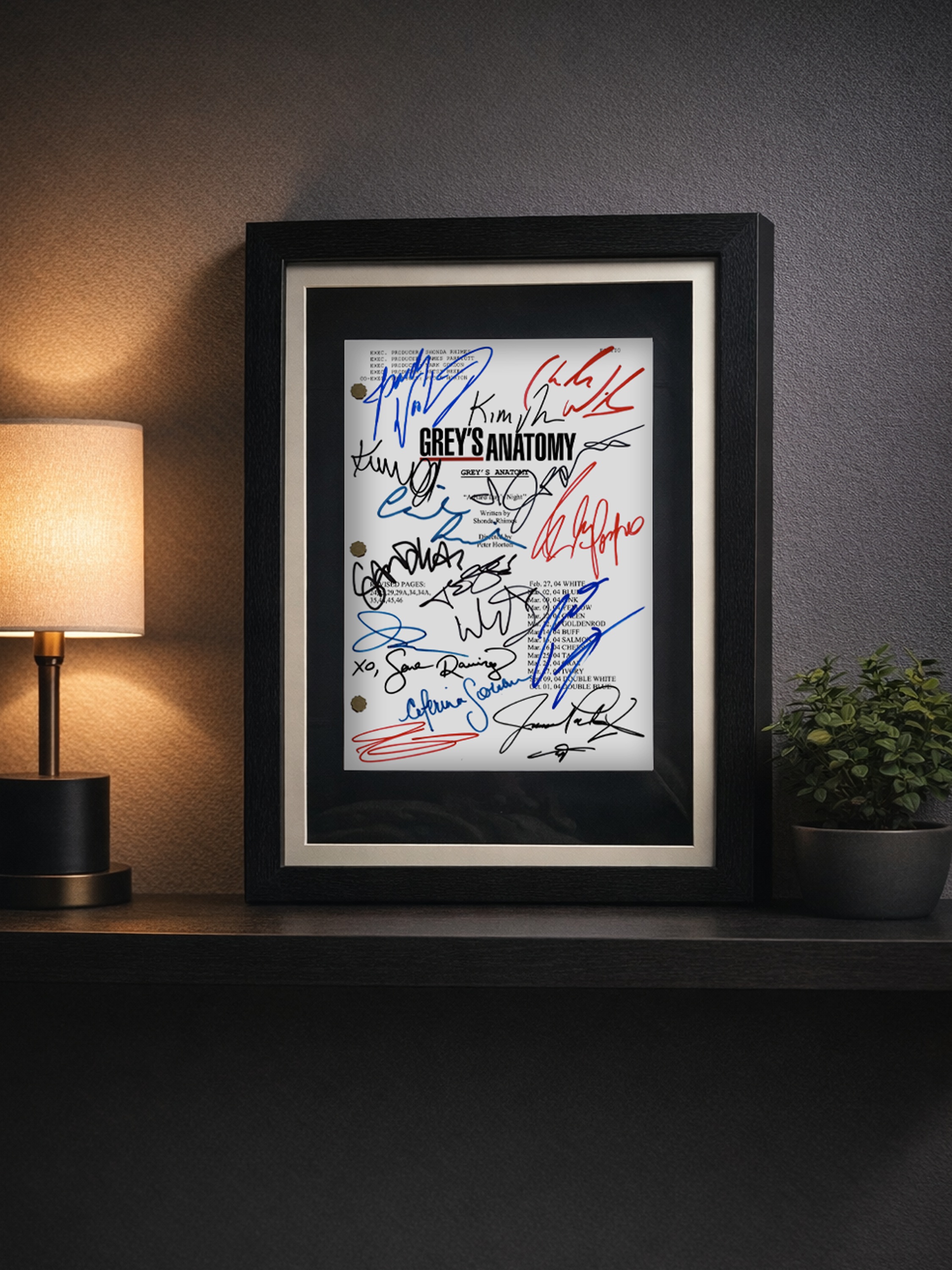 Greys Anatomy Signed Pilot TV Show Script