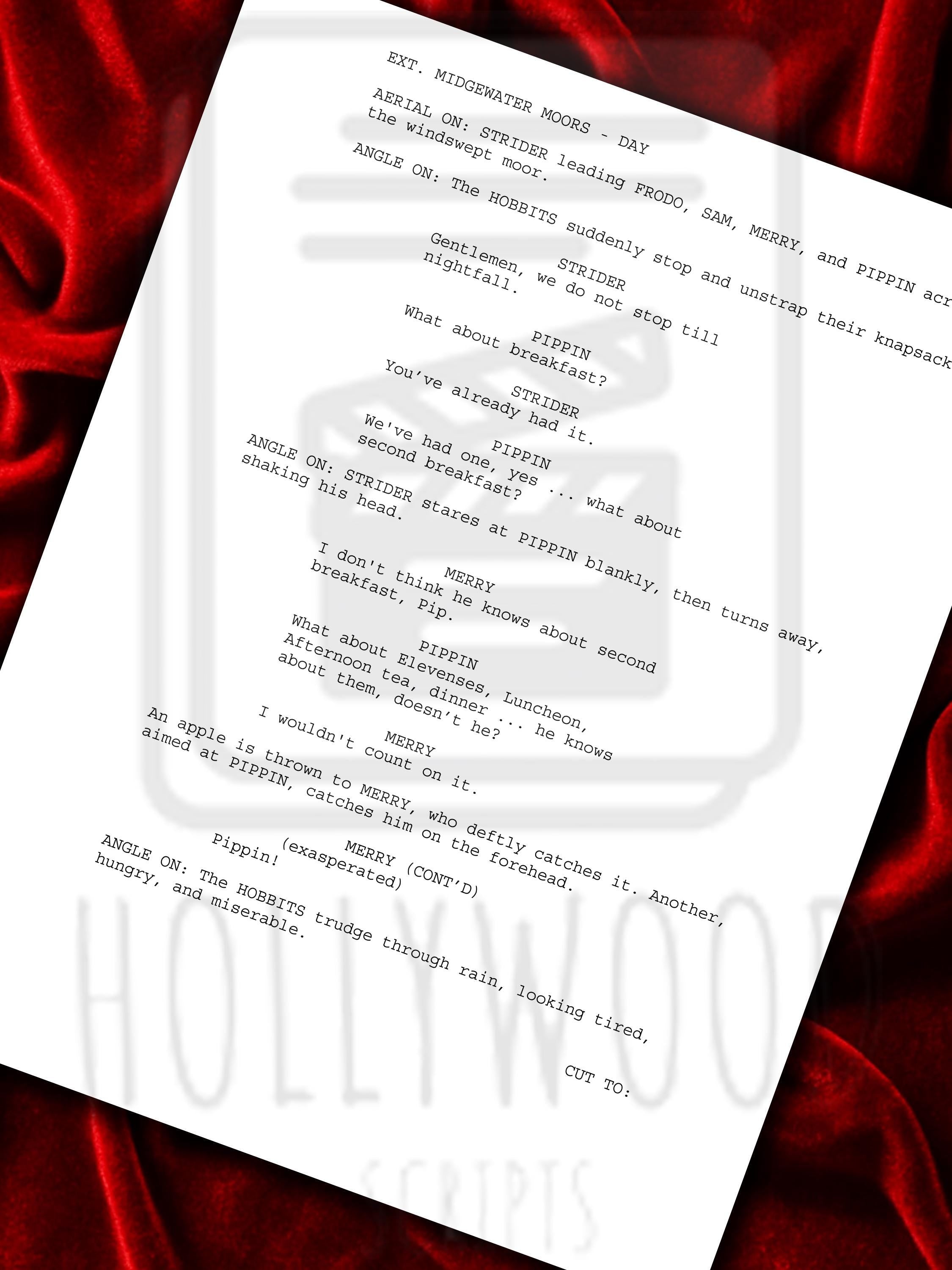 Fellowship Of The Ring Signed Movie Script, Lord of The Rings Reproduction, Full Screenplay Framed  + Cast Autographs