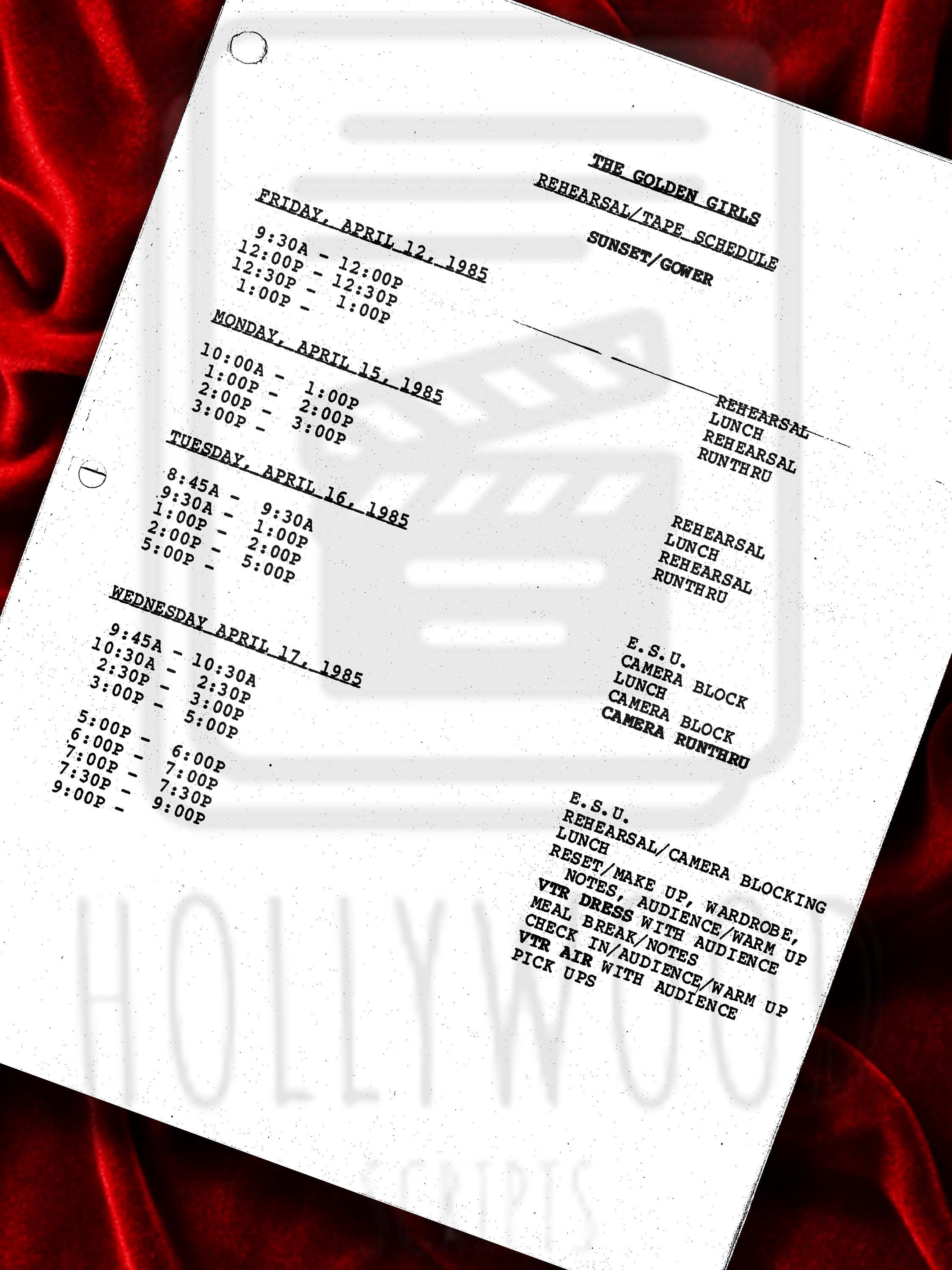 Golden Girls Signed Pilot TV Show Script with Betty White, Bea Arthur, Rue McClanahan & Estelle Getty Autographs