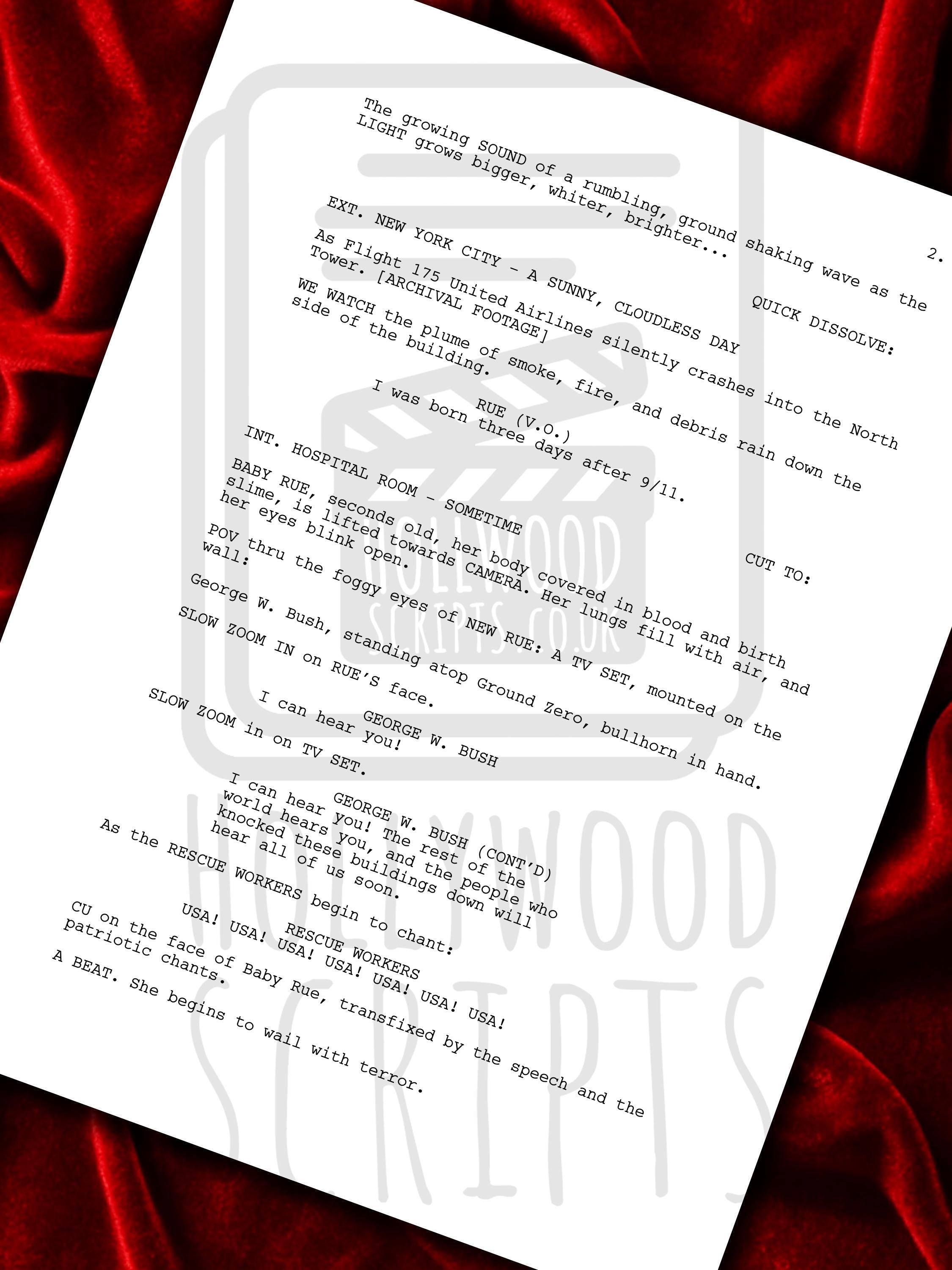 Euphoria, Signed TV Pilot Script, Full Screenplay Reproduction, Jacob Elordi, Sydney Sweeney, Zendaya, Birthday Gift, Movie Lovers Gifts, TV Script, Movie Props