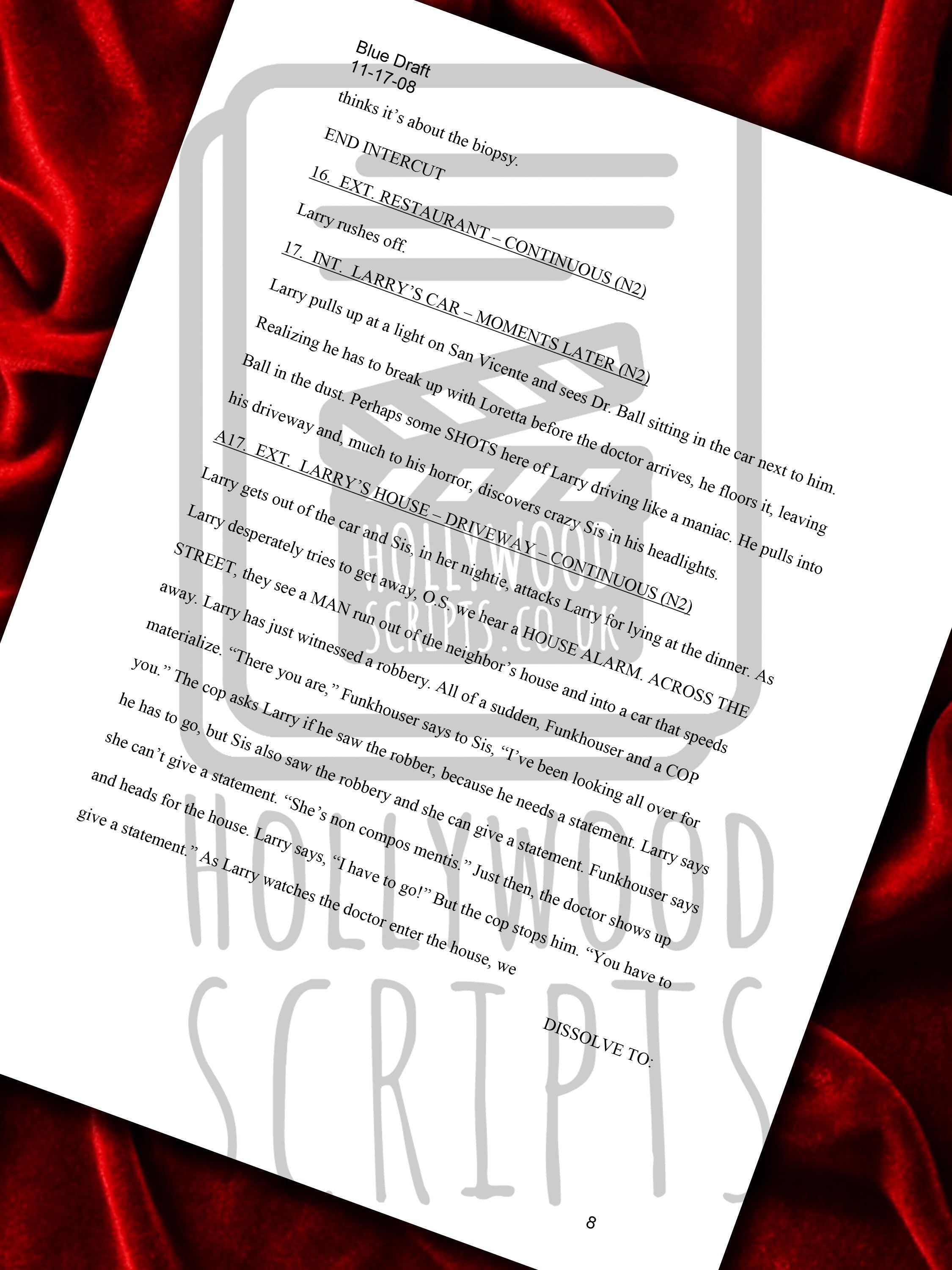 Curb Your Enthusiasm, Signed Movie Script, Full Screenplay Reproduction