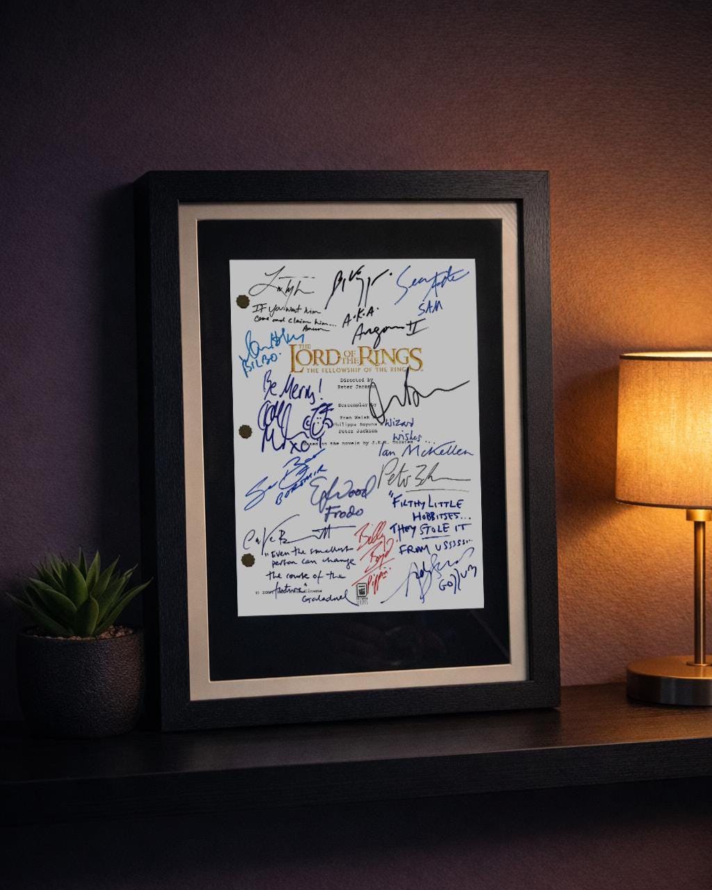 Fellowship Of The Ring Signed Movie Script, Lord of The Rings Reproduction, Full Screenplay Framed  + Cast Autographs