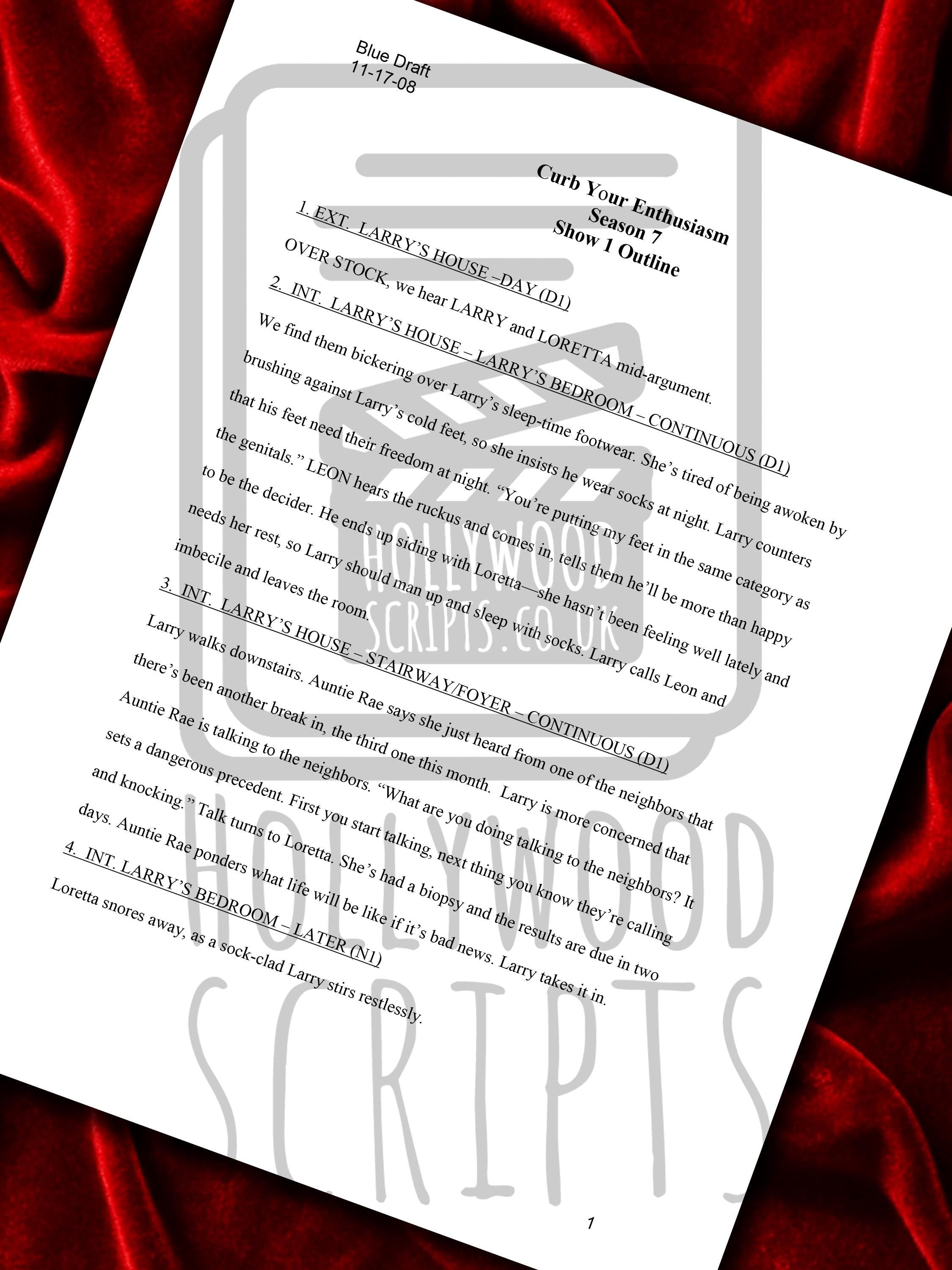 Curb Your Enthusiasm, Signed Movie Script, Full Screenplay Reproduction
