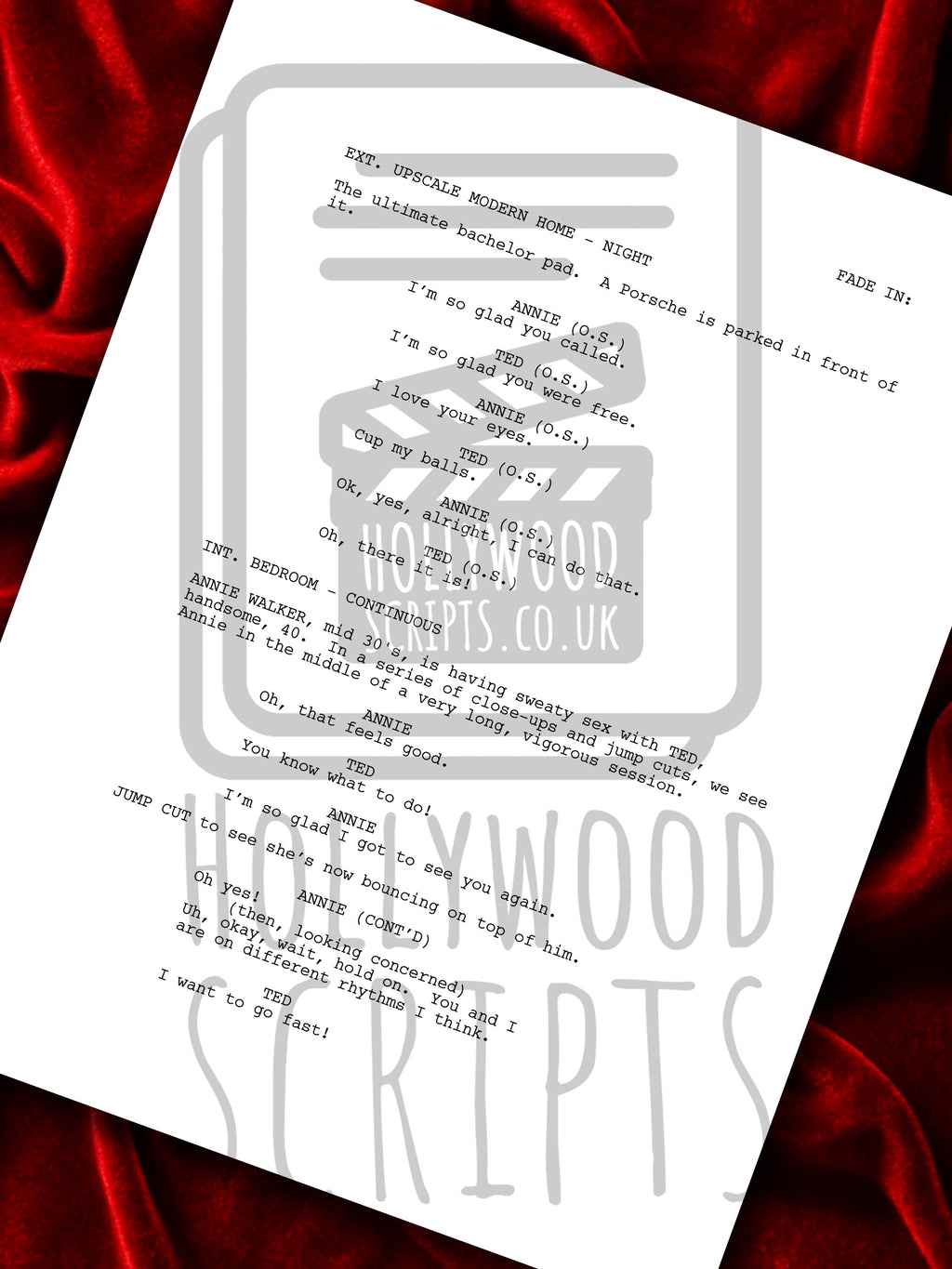 Bridesmaids, Signed Movie Script, Screenplay Reproduction