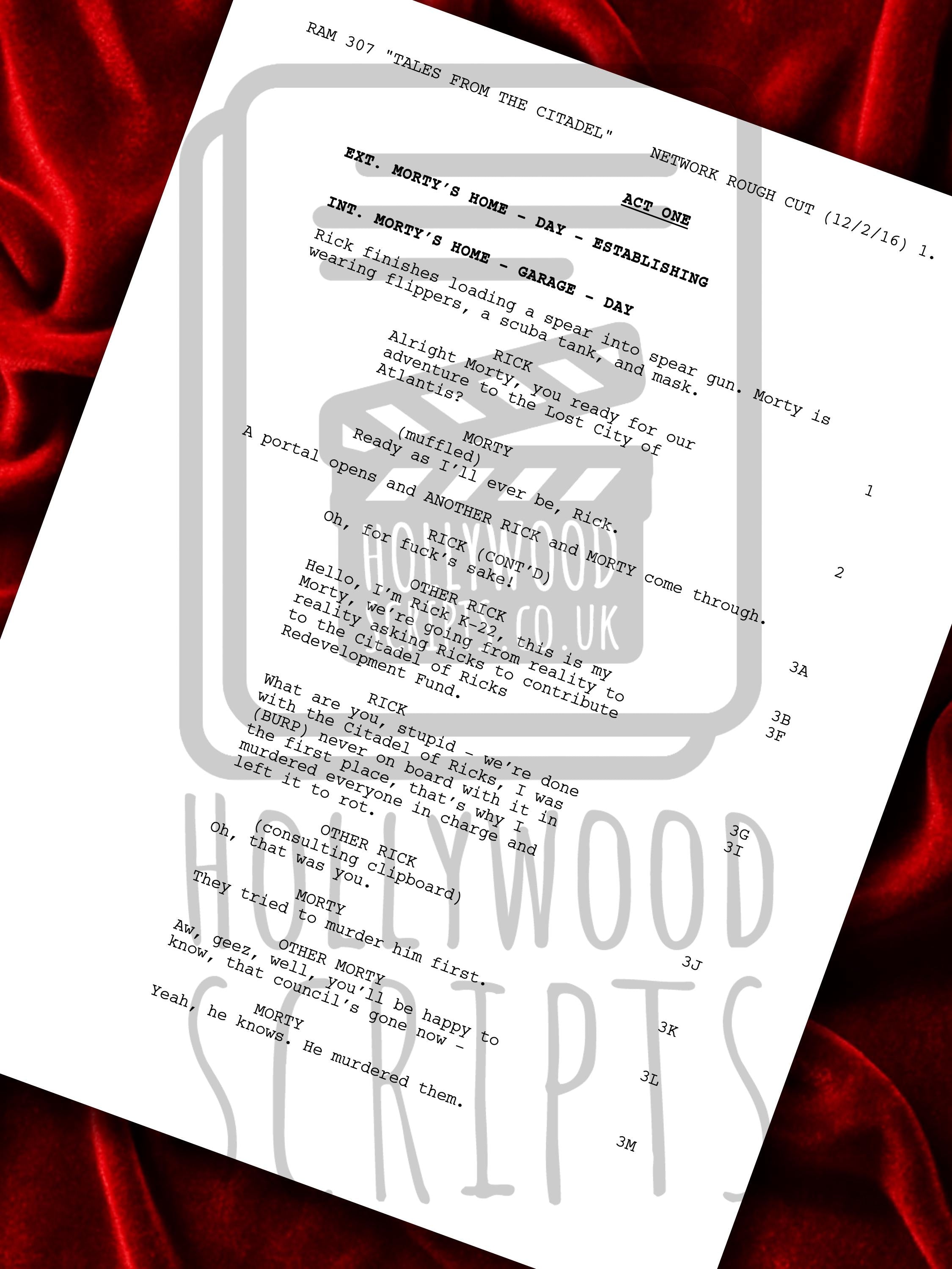 RICK and MORTY Signed TV Script Framed Reproduction