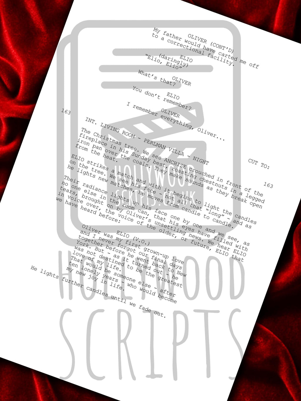 Call Me By Your Name Movie Script, Signed Framed Reproduction