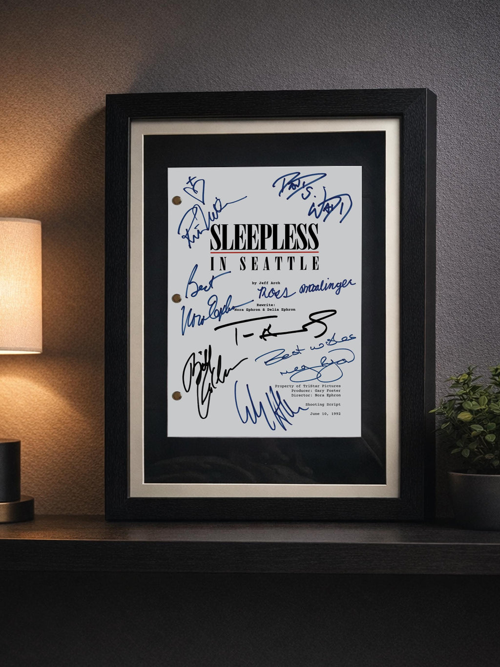 Sleepless In Seattle, Signed Movie Script Framed Reproduction