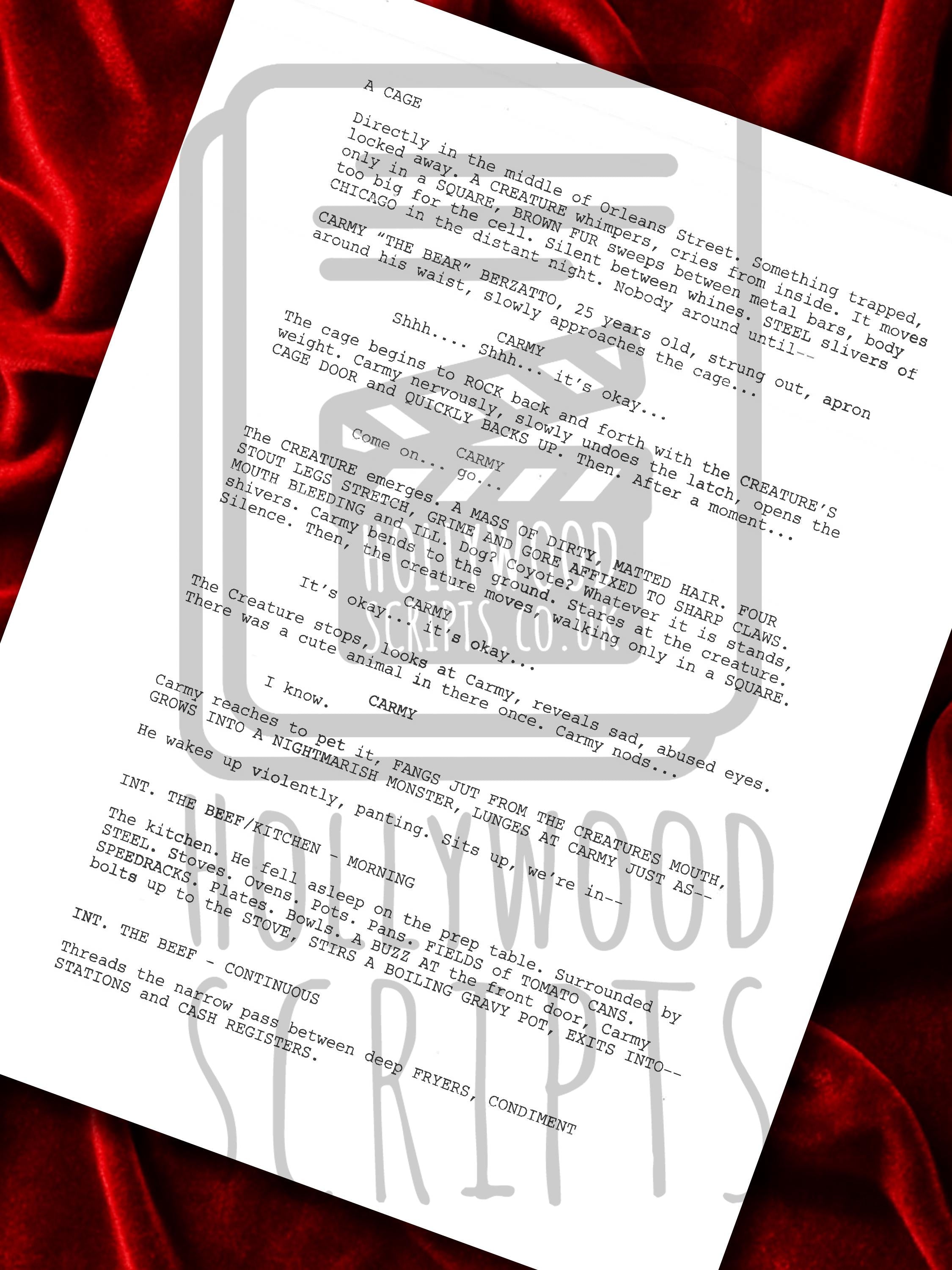 The Bear Signed TV Script Reproduction Framed Screenplay
